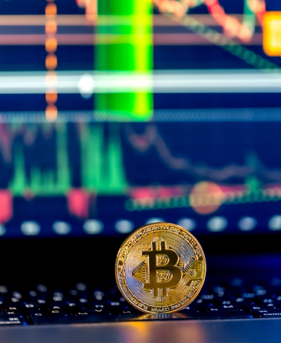 Yükseklik Finthor Ticaret Bilgileri